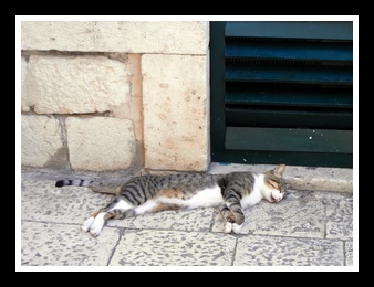 [Click to enlarge image]